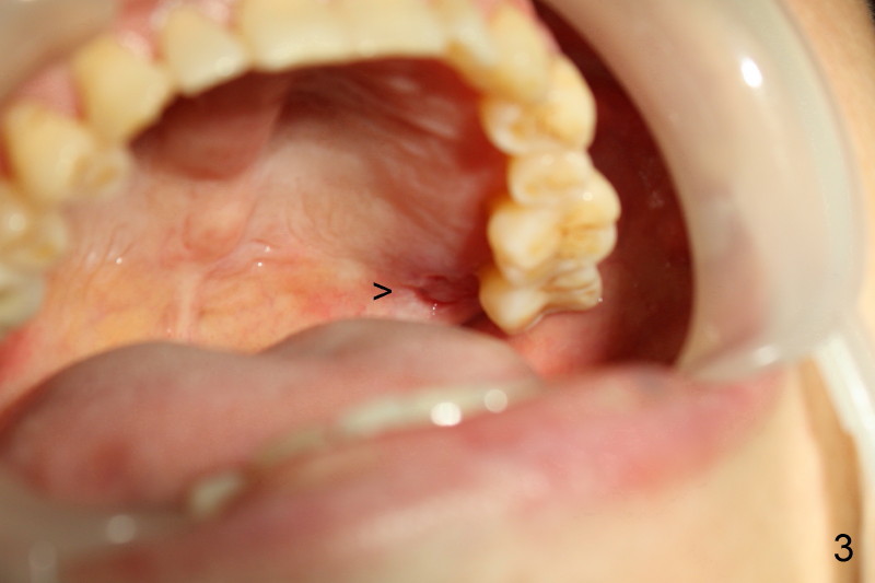 Dental Education Lecture